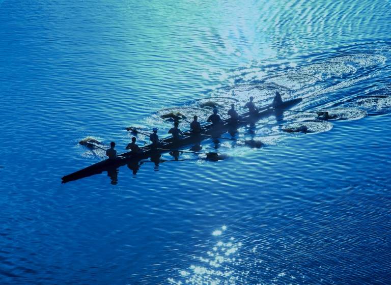 Picture of a row team rowing in water
